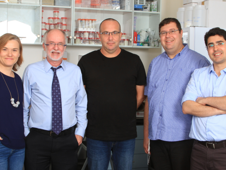 From the Laboratories at the Hebrew University to the Pharmacy Shelves in England