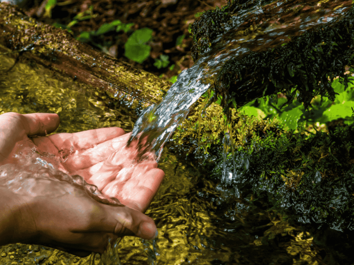 Incorporating cultural and recreational ecosystem services of freshwater within Israel’s water economy